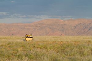 Namibia Safari