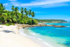 Sri Lanka Tropical beach