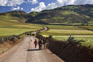 peru andes